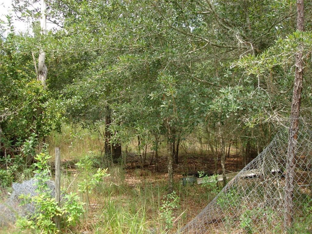 Country Ln., Lutz, FL 33558