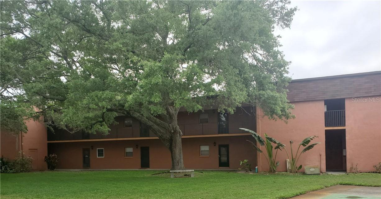 4805 Alt 19 #325, Palm Harbor, FL 34683