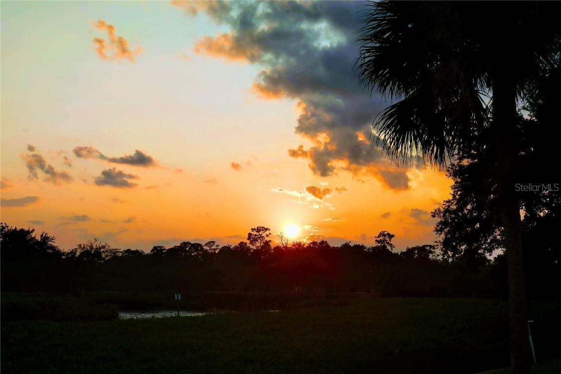 5631 Decatur Dr., New Port Richey, FL 34652