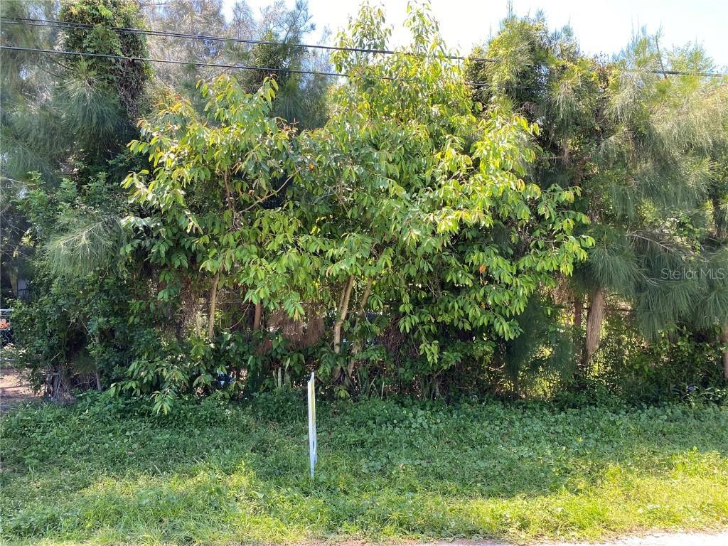 12300 Land St., Largo, FL 33773