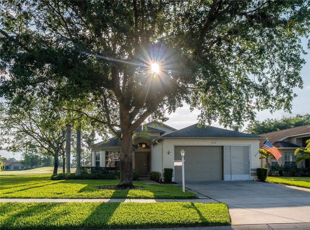 1438 Hickory Moss Pl., Trinity, FL 34655