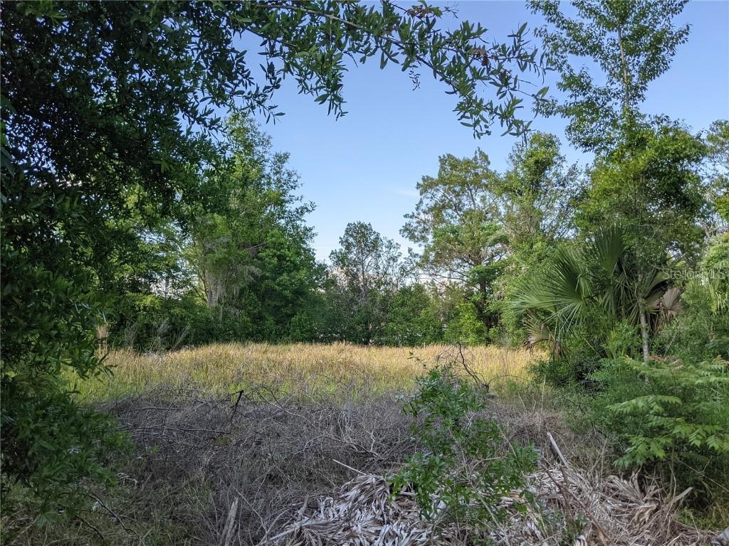 9337 Bahia Rd., Ocala, FL 34472