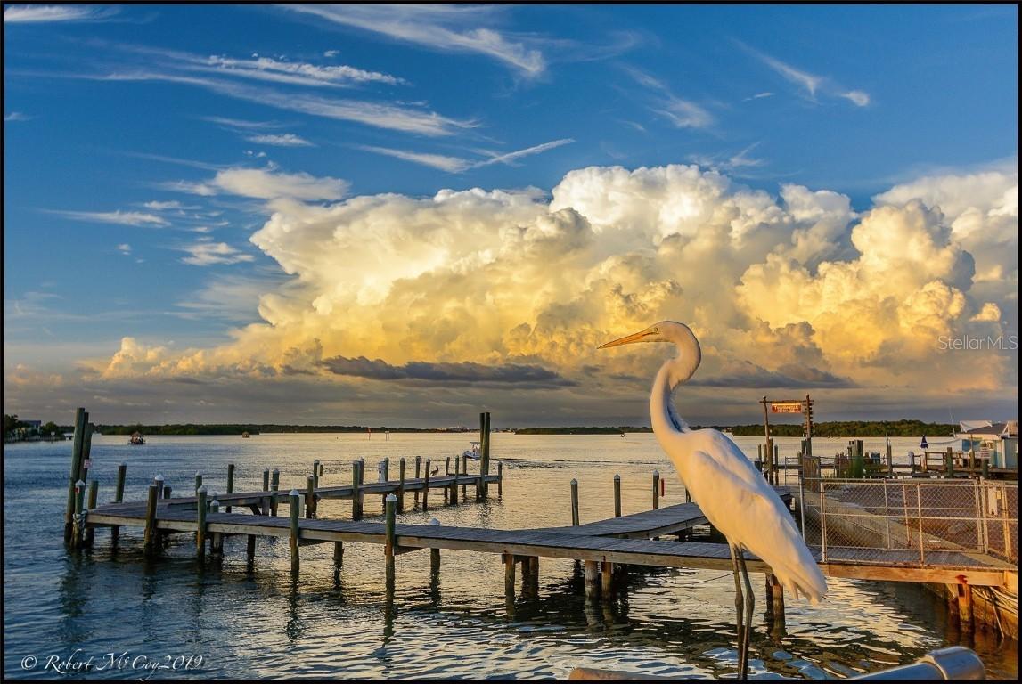 279 104th Ave., Treasure Island, FL 33706
