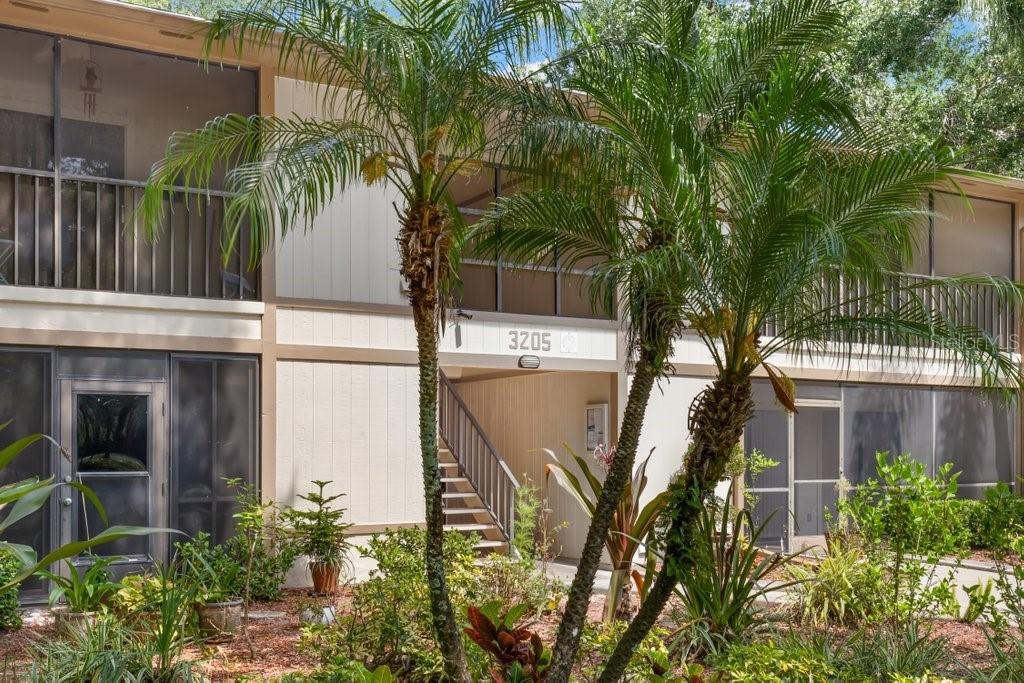 3205 Fox Chase Cir. #203, Palm Harbor, FL 34683