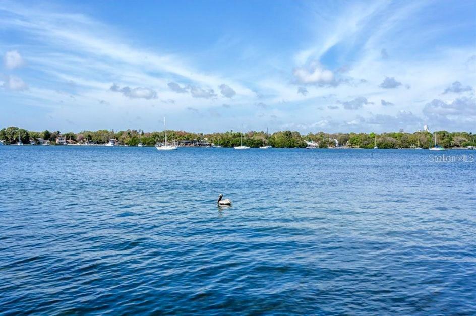 221 Pompano Dr. #C, St Petersburg, FL 33705