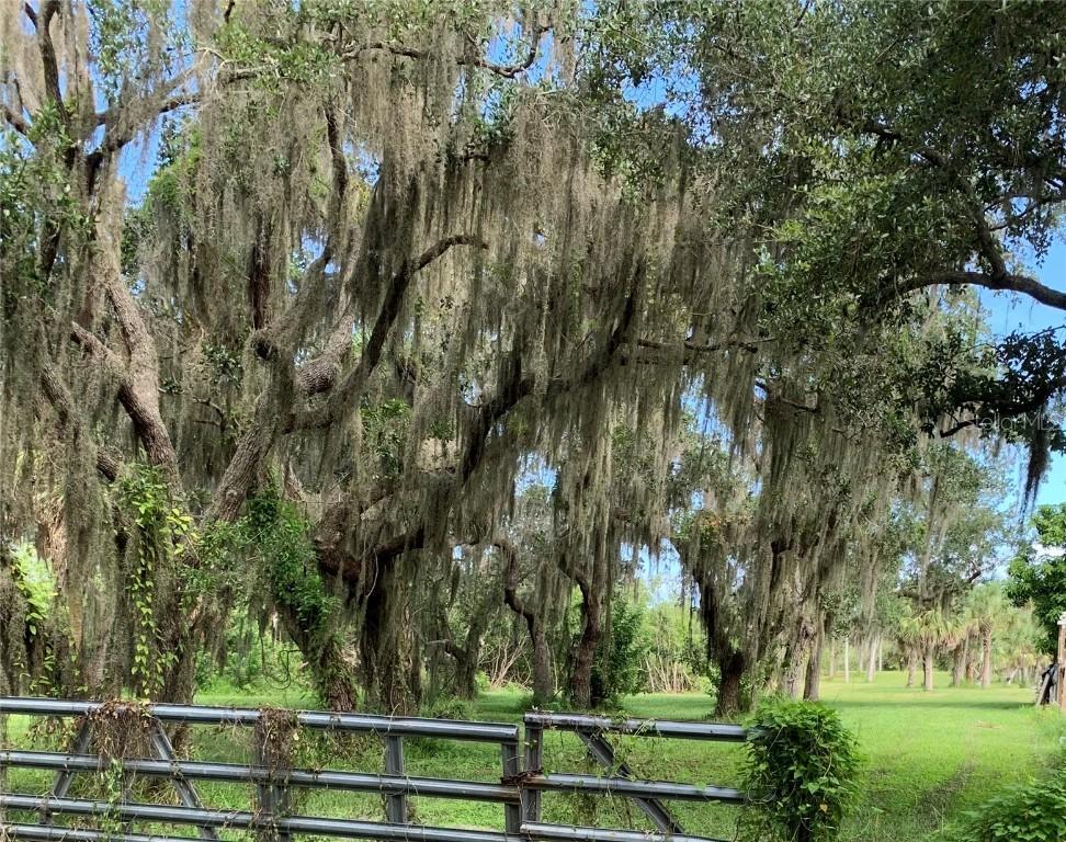 Limit Drive, Port Richey, FL 34652