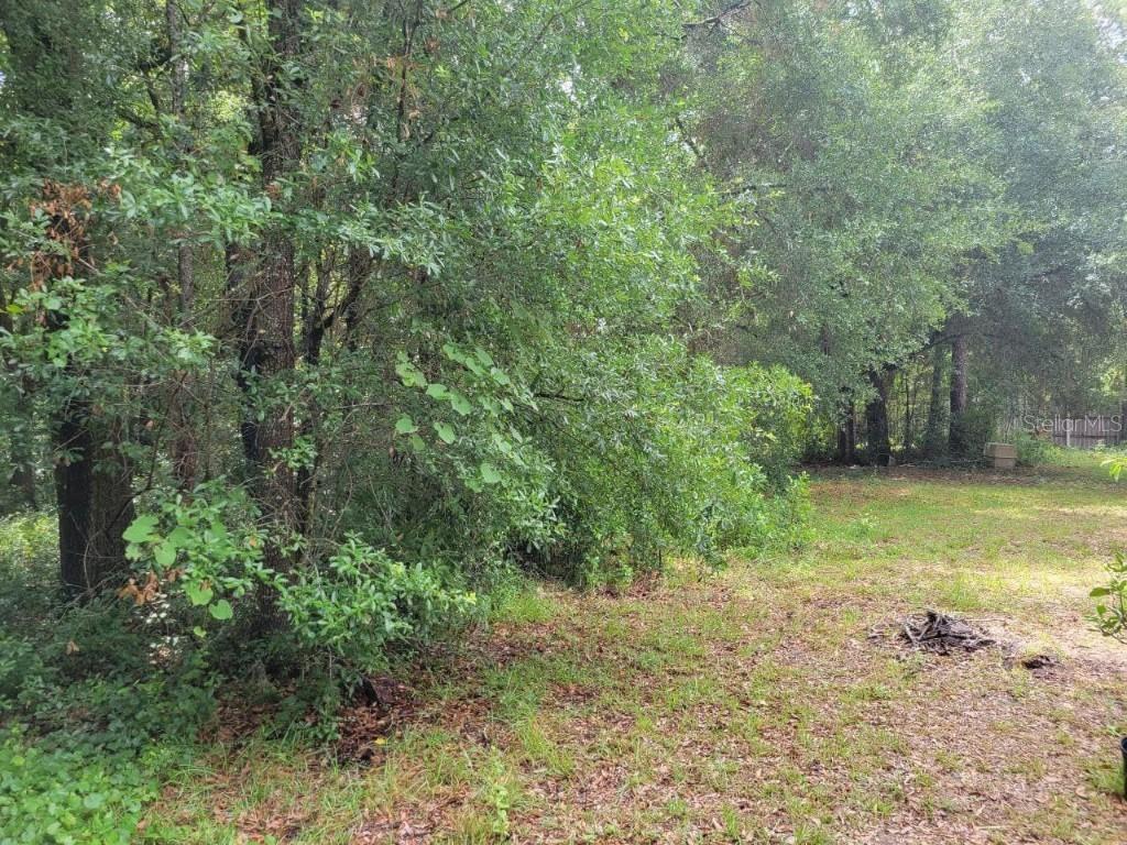S Washington Ave., Apopka, FL 32703