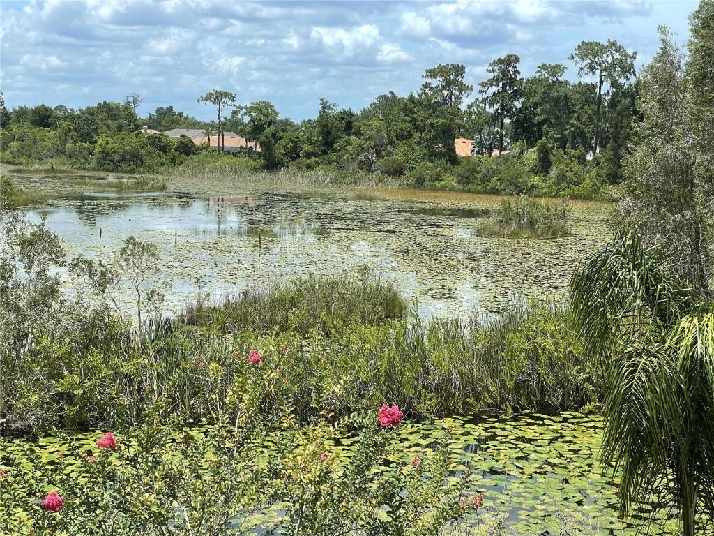 21133 Los Cabos Ct., Land O Lakes, FL 34637