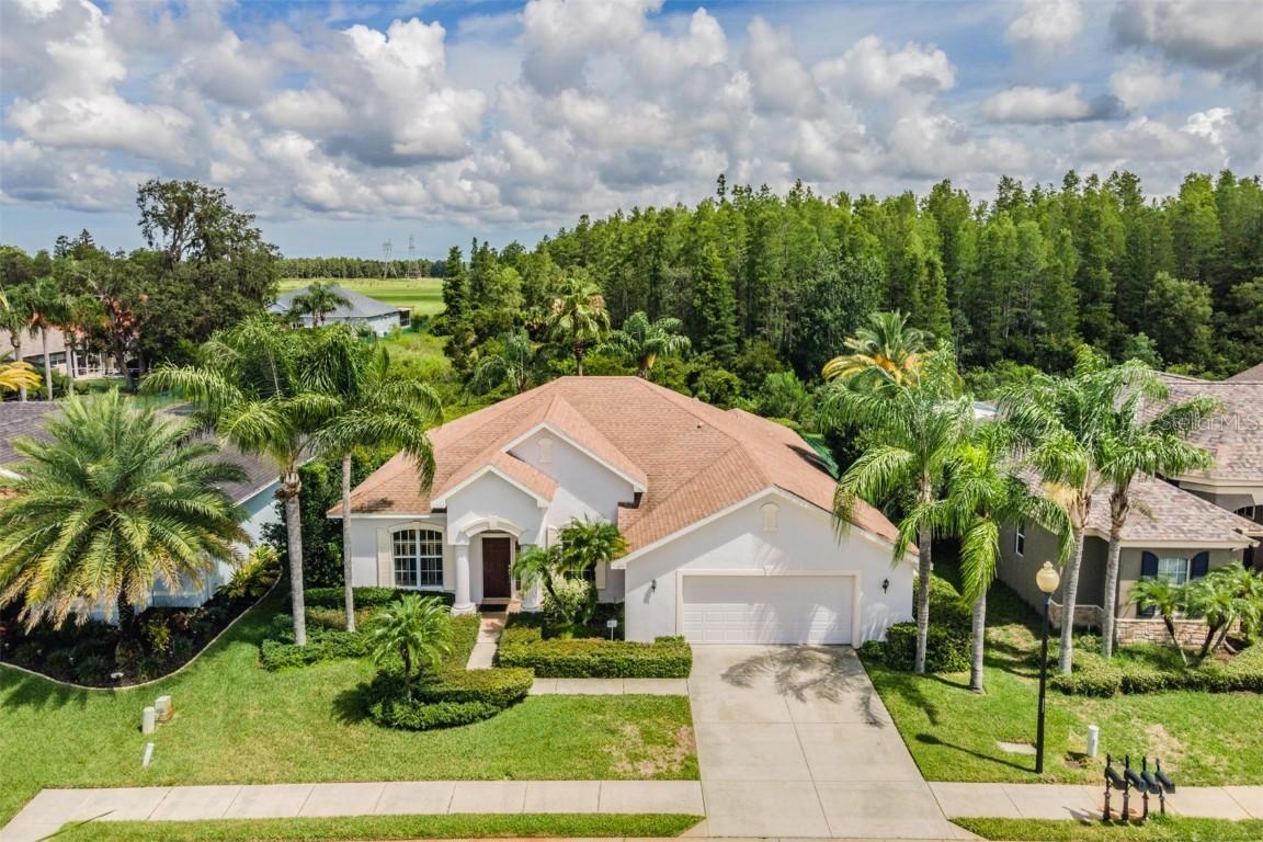 2131 Blue Beech Ct., Trinity, FL 34655
