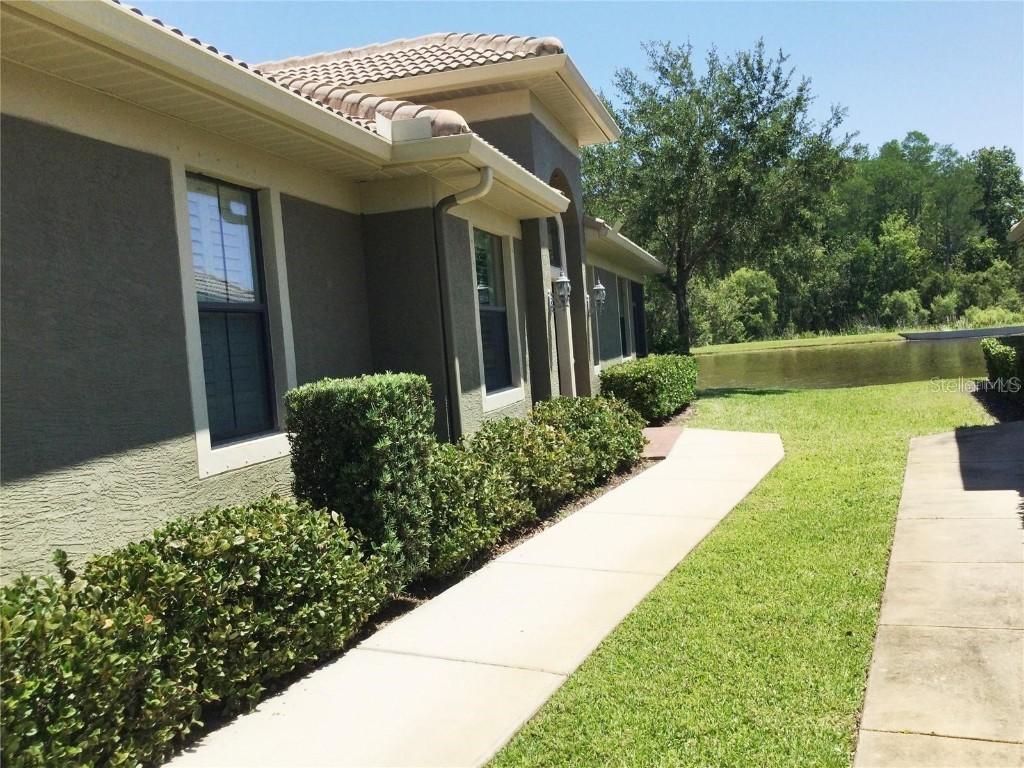4801 Michelle Ln., Palm Harbor, FL 34684