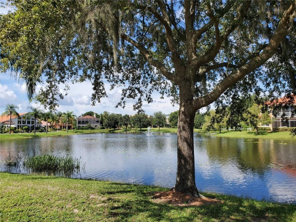 6750 Dali Ave. #206, Land O Lakes, FL 34637