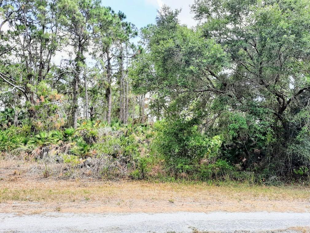 Alpaca St., North Port, FL 34291