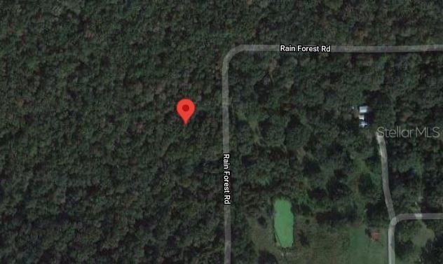 Rain Forest Rd., Brooksville, FL 34601