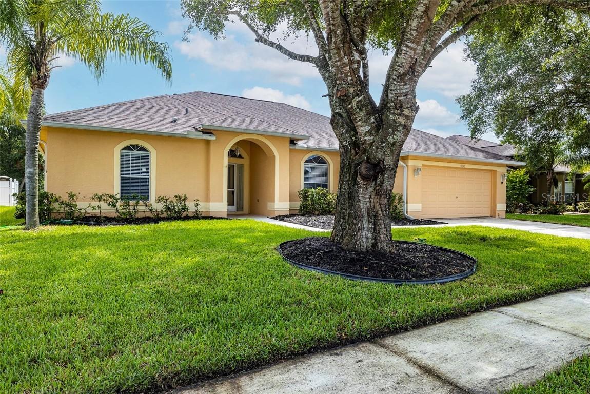 4838 Basswood St., Land O Lakes, FL 34639