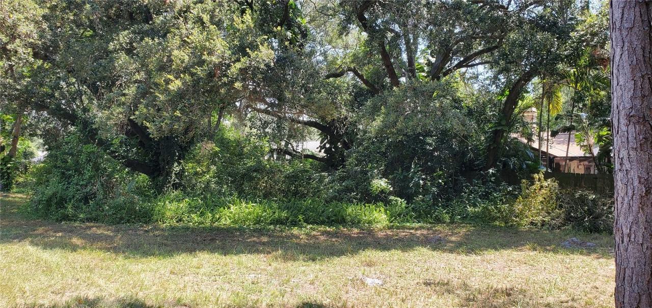 2774.5 Whitney Rd., Clearwater, FL 33760