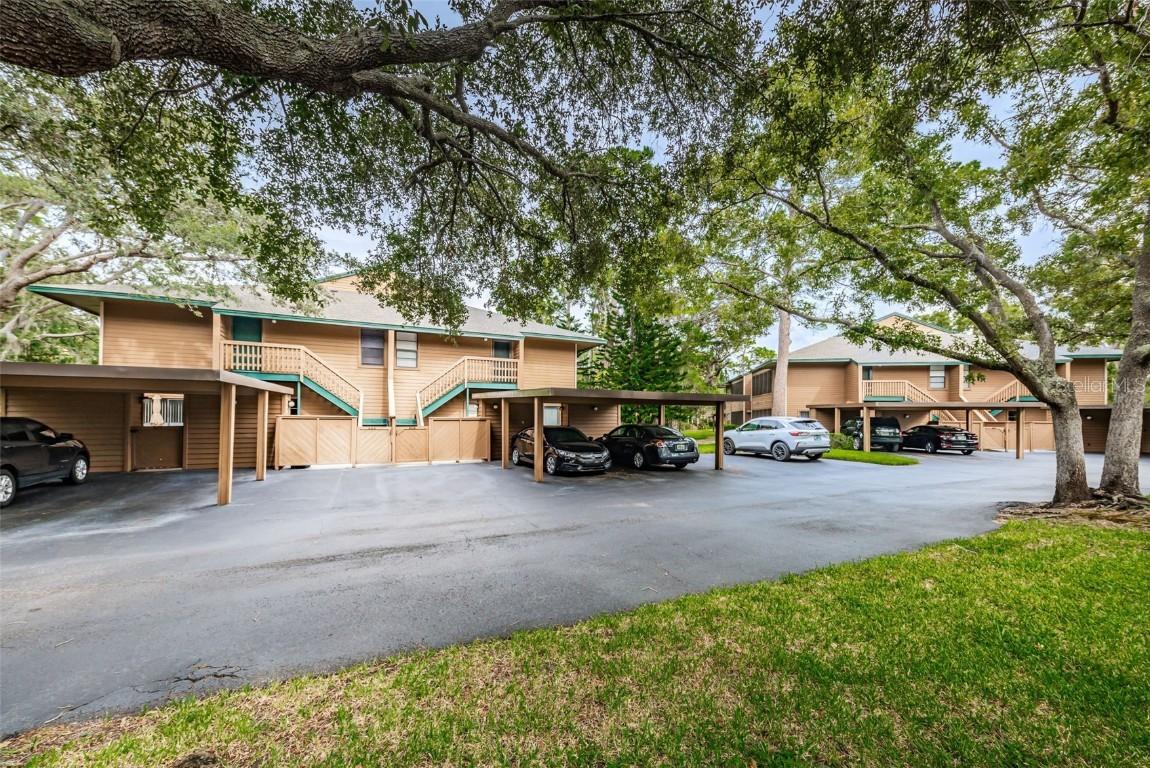 406 Lennox Rd., Palm Harbor, FL 34683