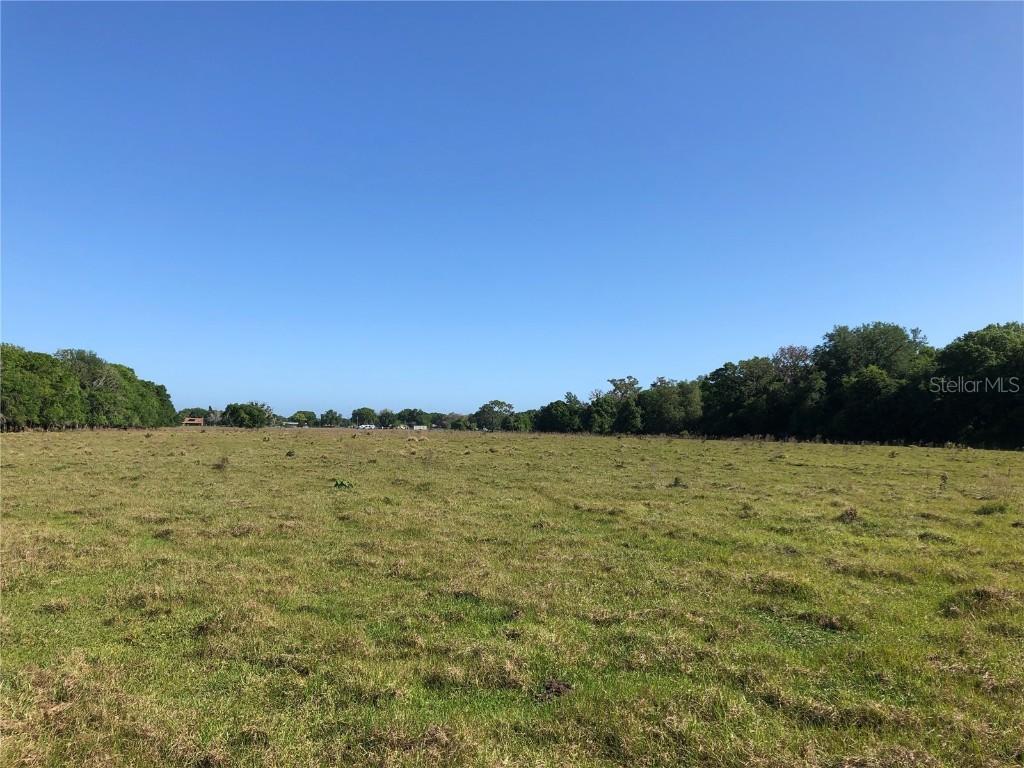 11963 Browning Rd., Lithia, FL 33547