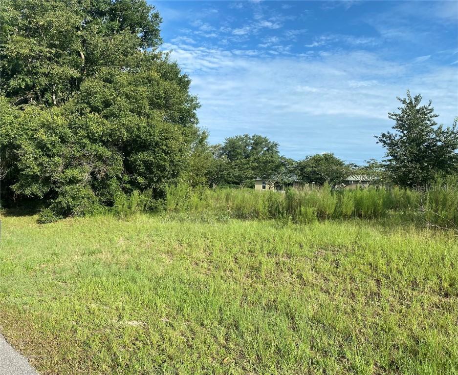 tbd Sw 60th Ct Rd, Ocala, FL 34473