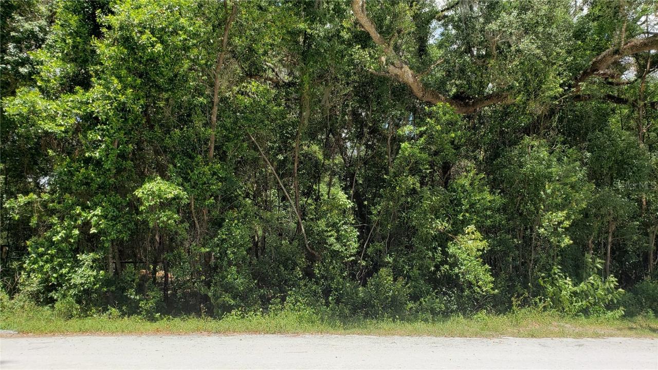 Garfield, Brooksville, FL 34604