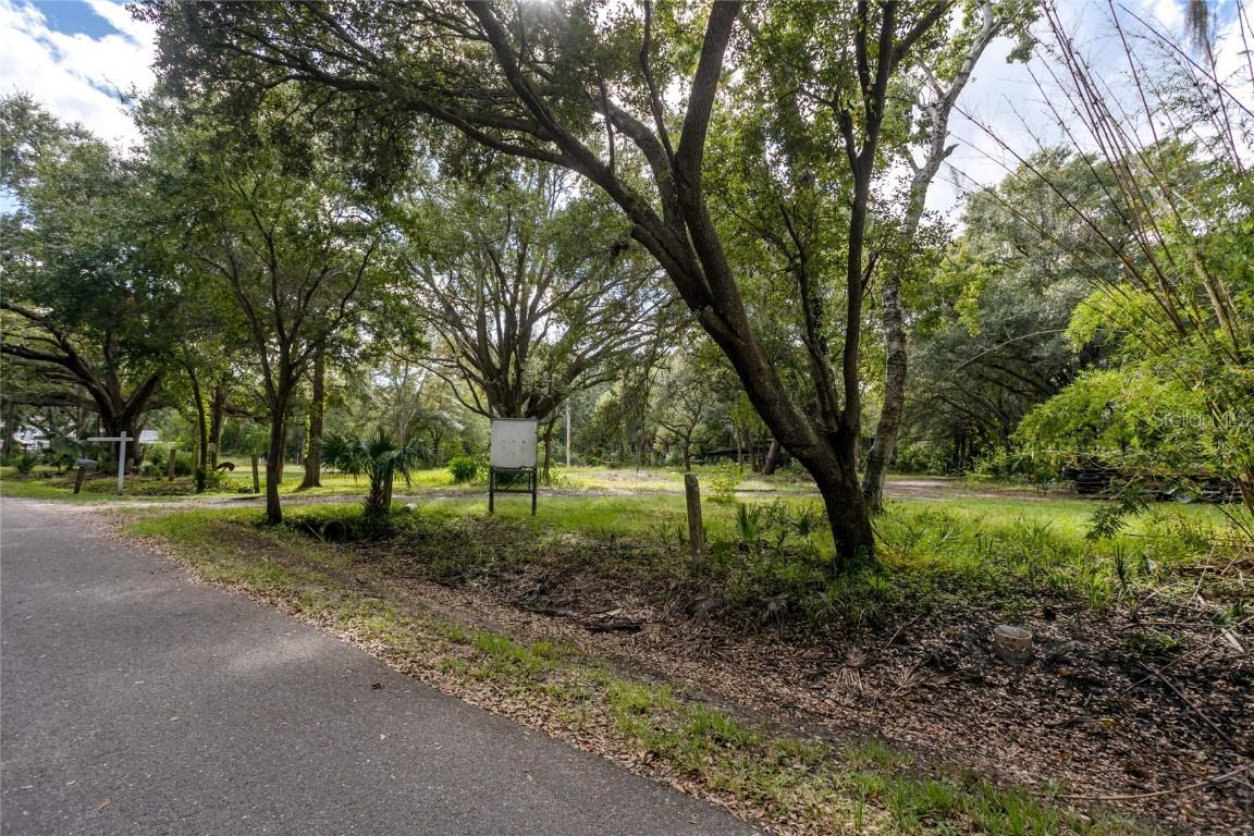 7434 Seagull Way, Tampa, FL 33635
