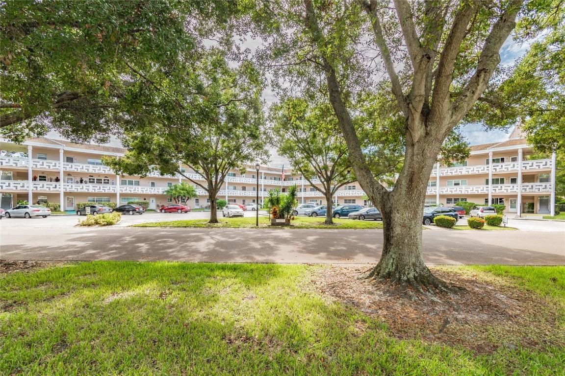 2435 Sumatran Way #49, Clearwater, FL 33763