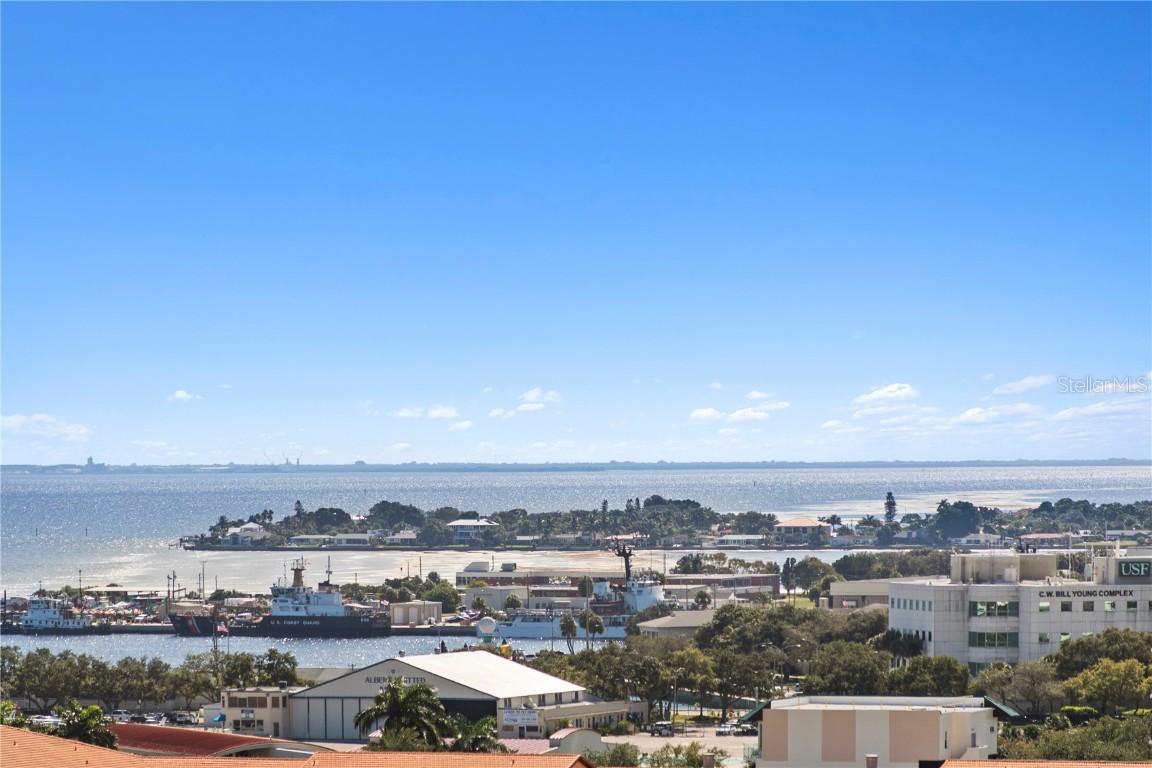 175 2nd St. #1011, St Petersburg, FL 33701