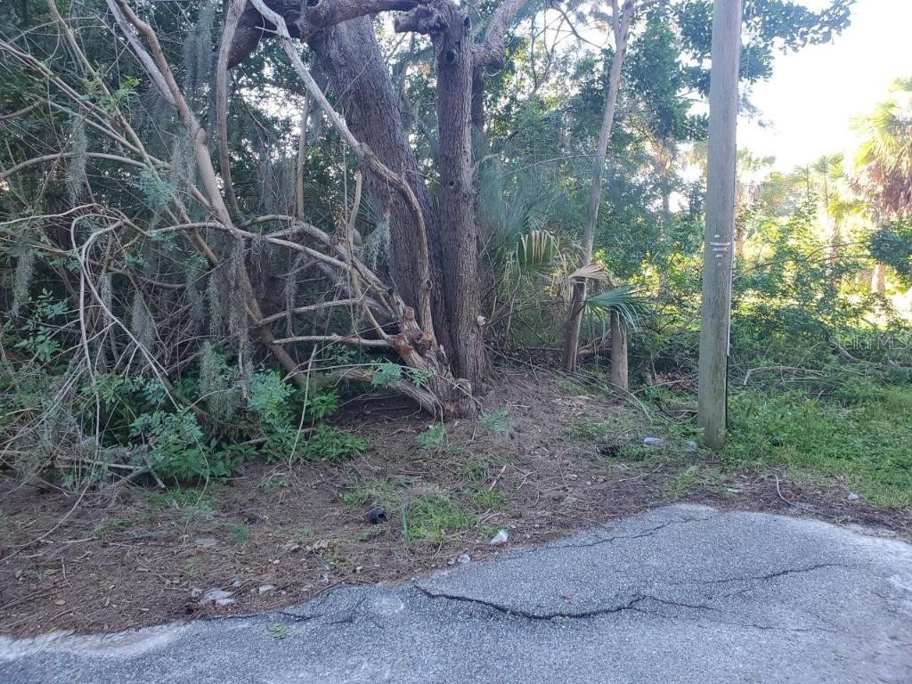 Treasure Dr., New Port Richey, FL 34652