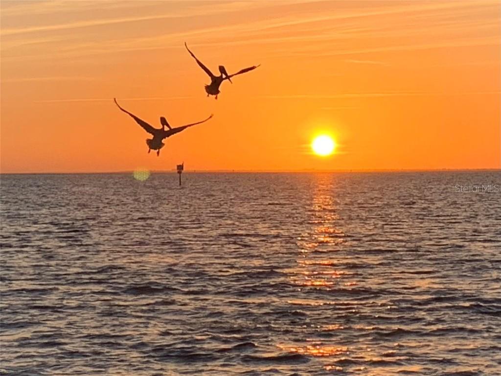 3266 Mangrove Point Dr., Ruskin, FL 33570