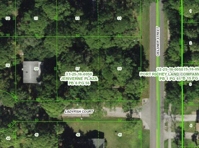 4947 Ladyfish Ct., New Port Richey, FL 34652