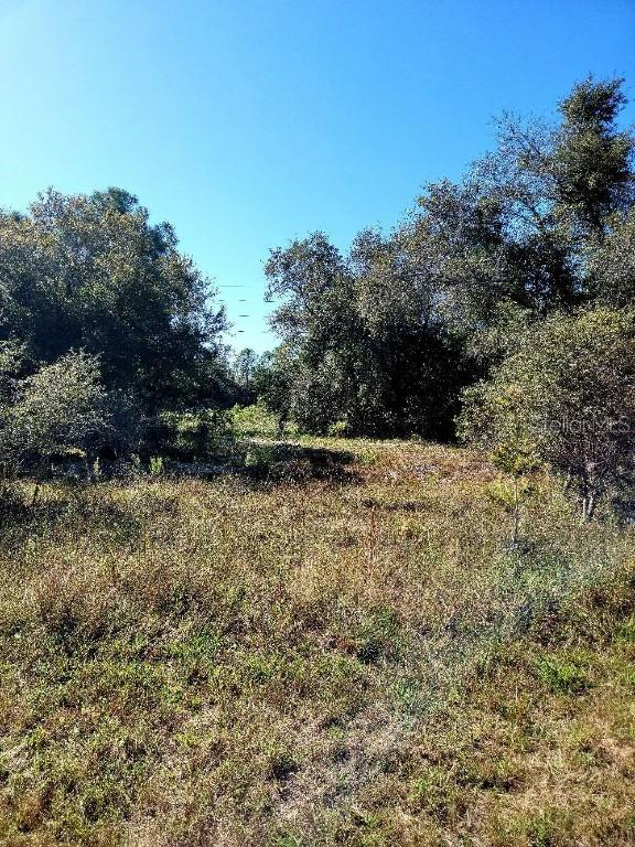 1034 Meadow Rd., Lehigh Acres, FL 33973