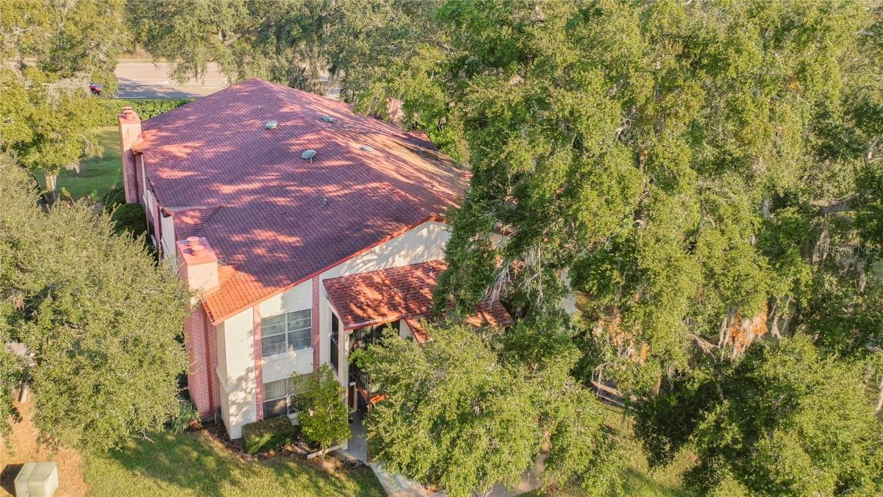 3455 Countryside Blvd. #56, Clearwater, FL 33761