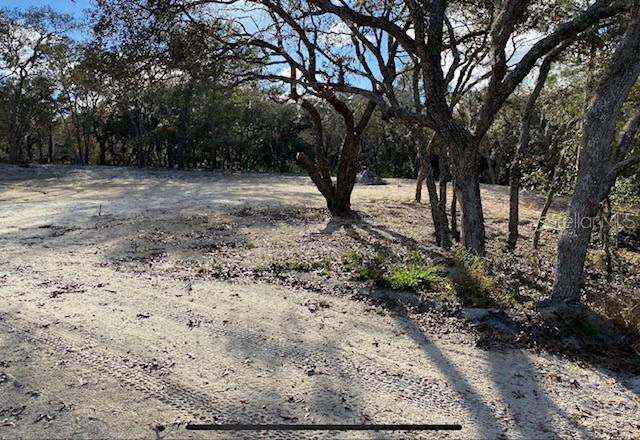 13000 Brutus Dr., Hudson, FL 34667