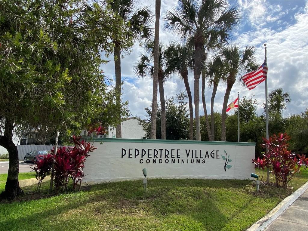 11415 8th Way #605, St Petersburg, FL 33716