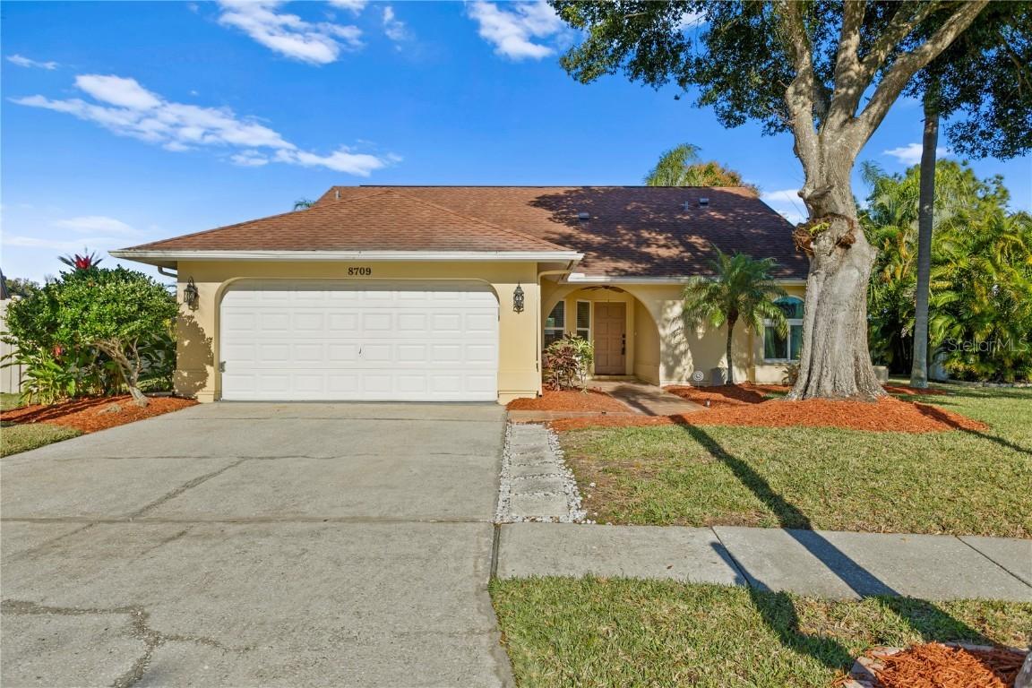 8709 Boysenberry Dr., Tampa, FL 33635