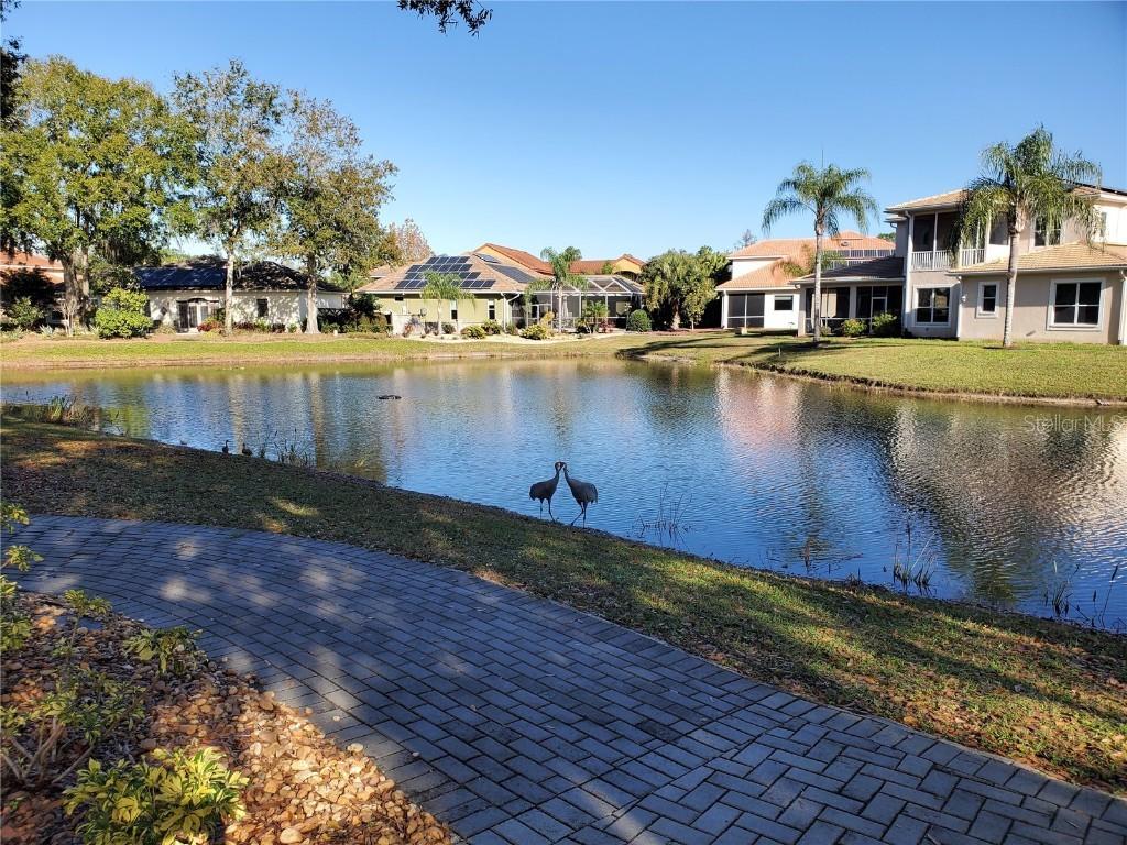 6816 Dali Ave. #202, Land O Lakes, FL 34637