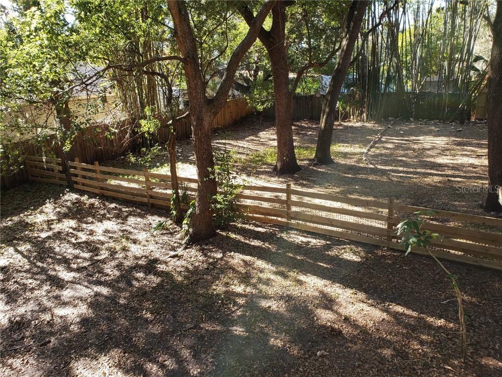 Duane Ave., Oldsmar, FL 34677