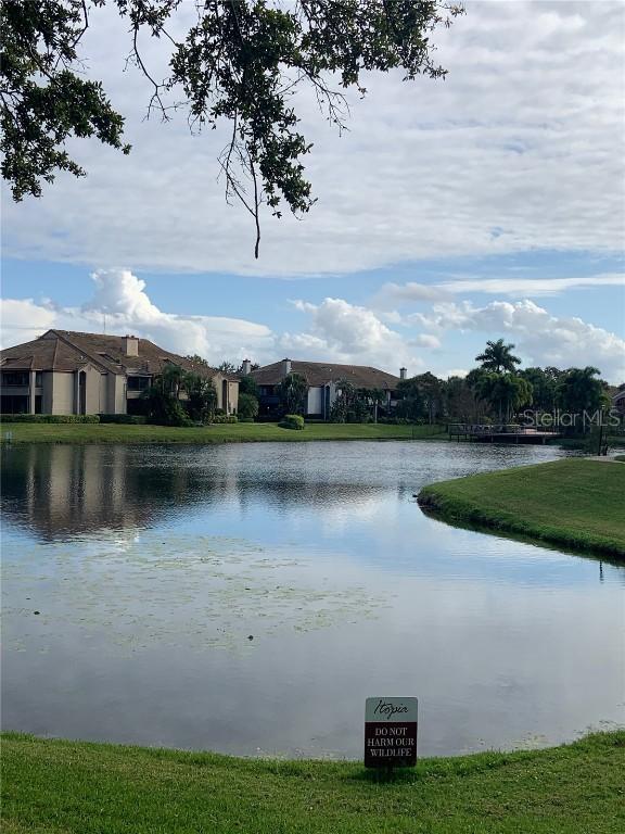 10263 Gandy Blvd. #2212, St Petersburg, FL 33702
