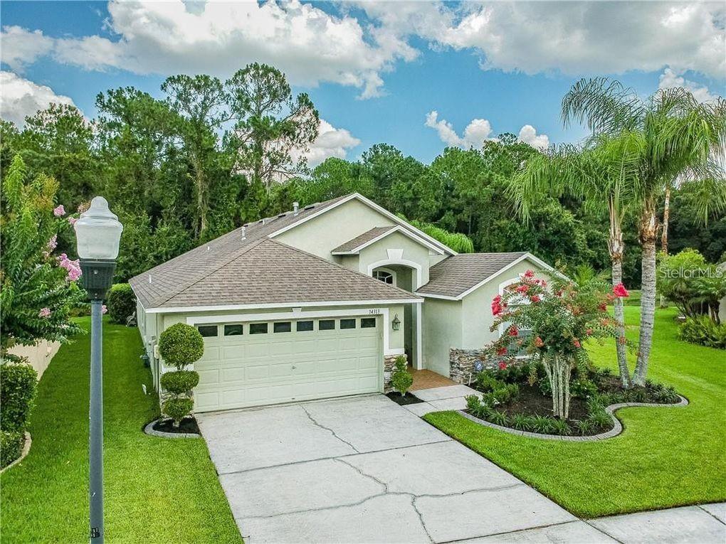 14313 Sky Flower Ln, Tampa, FL 33626