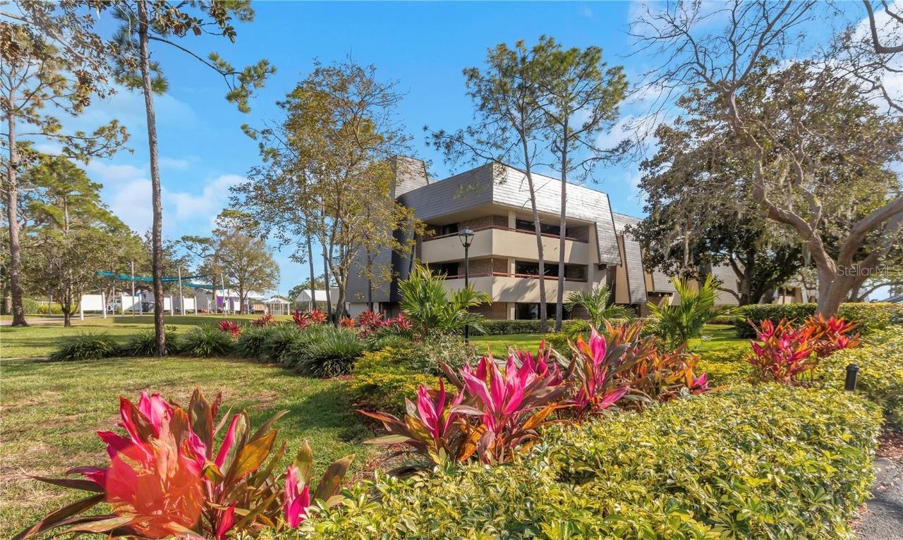 36750 Us Highway 19 #15-202, Palm Harbor, FL 34684