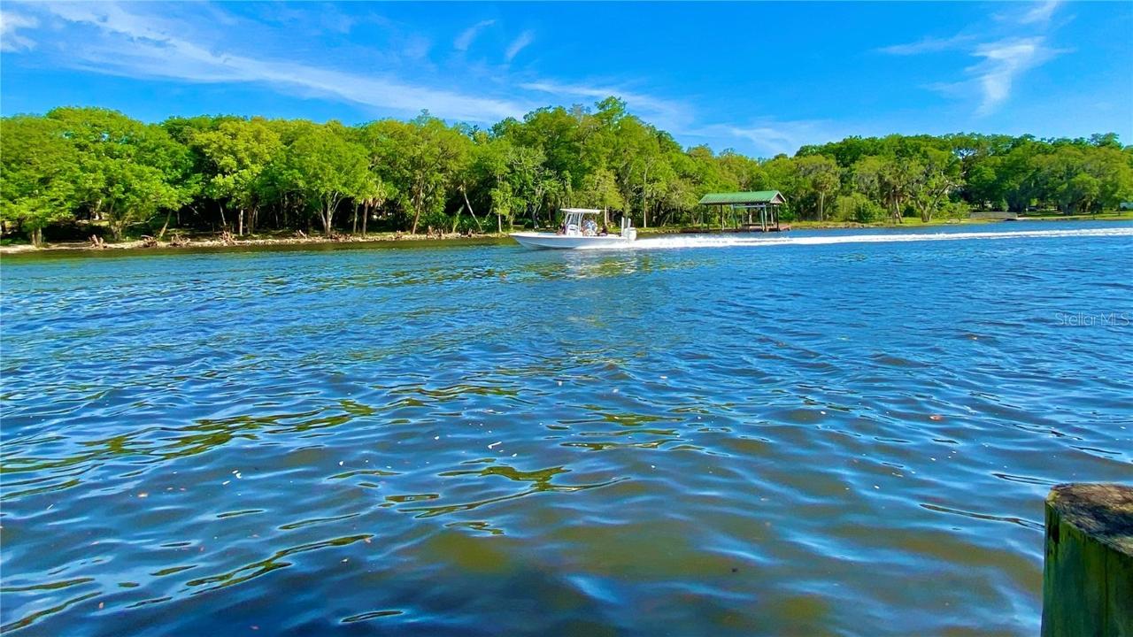 1508 W Park Ln., Tampa, FL 33603