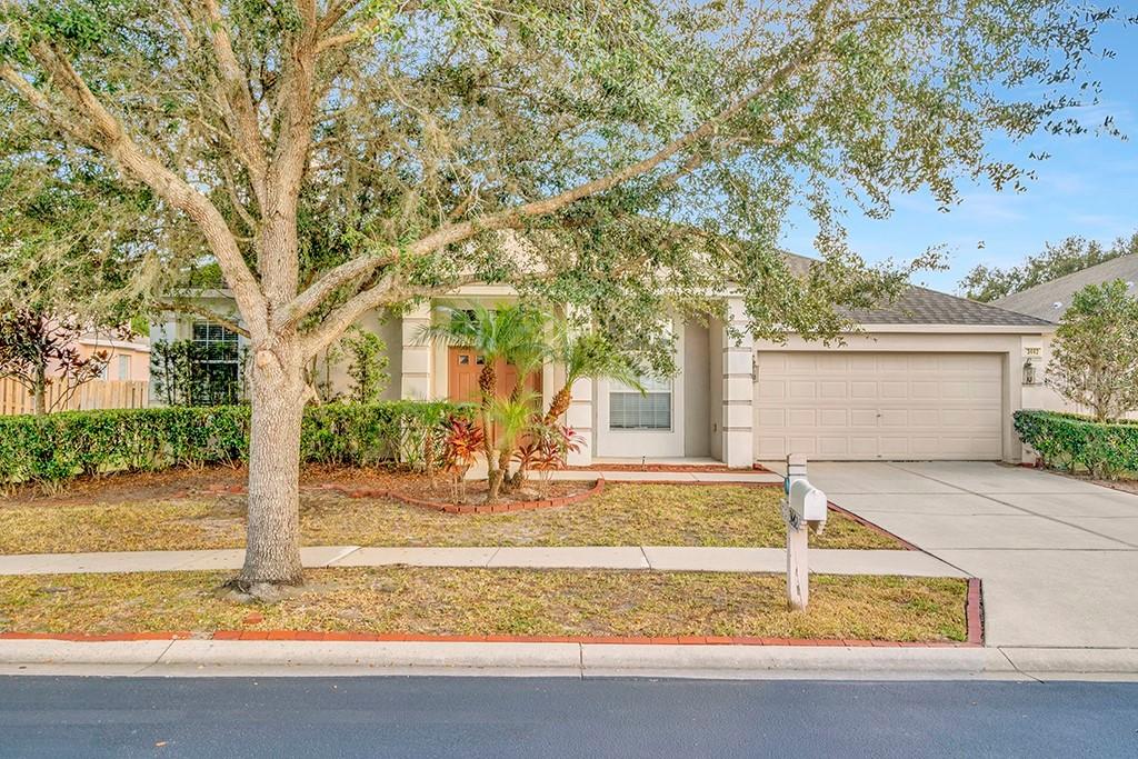 3442 Juneberry Dr., Wesley Chapel, FL 33543