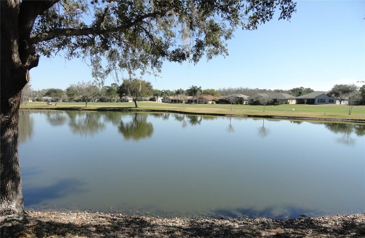 1136 Winding Willow Dr., Trinity, FL 34655