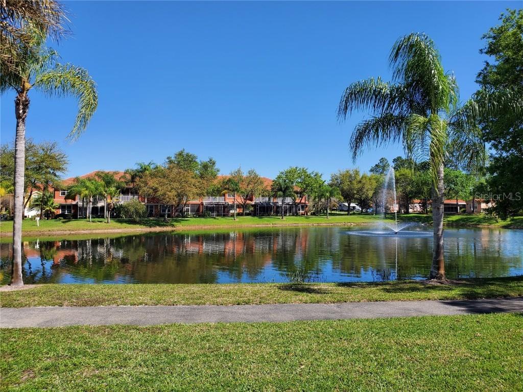 6734 Dali Ave. #104, Land O Lakes, FL 34637