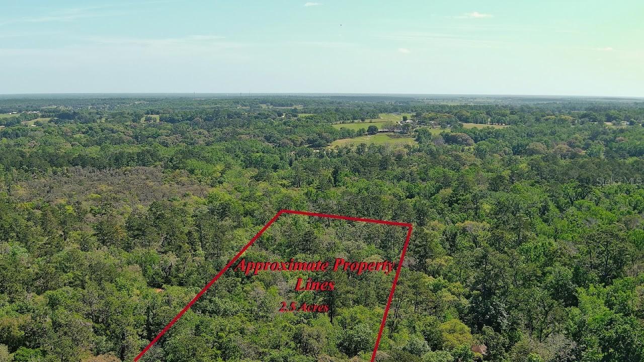Neff Lake Rd., Brooksville, FL 34601