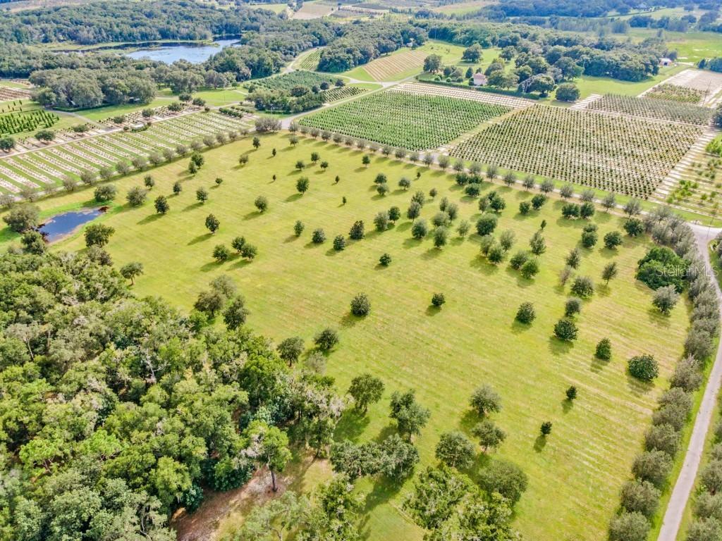 24257 Hidden Meadows Rd., Brooksville, FL 34601