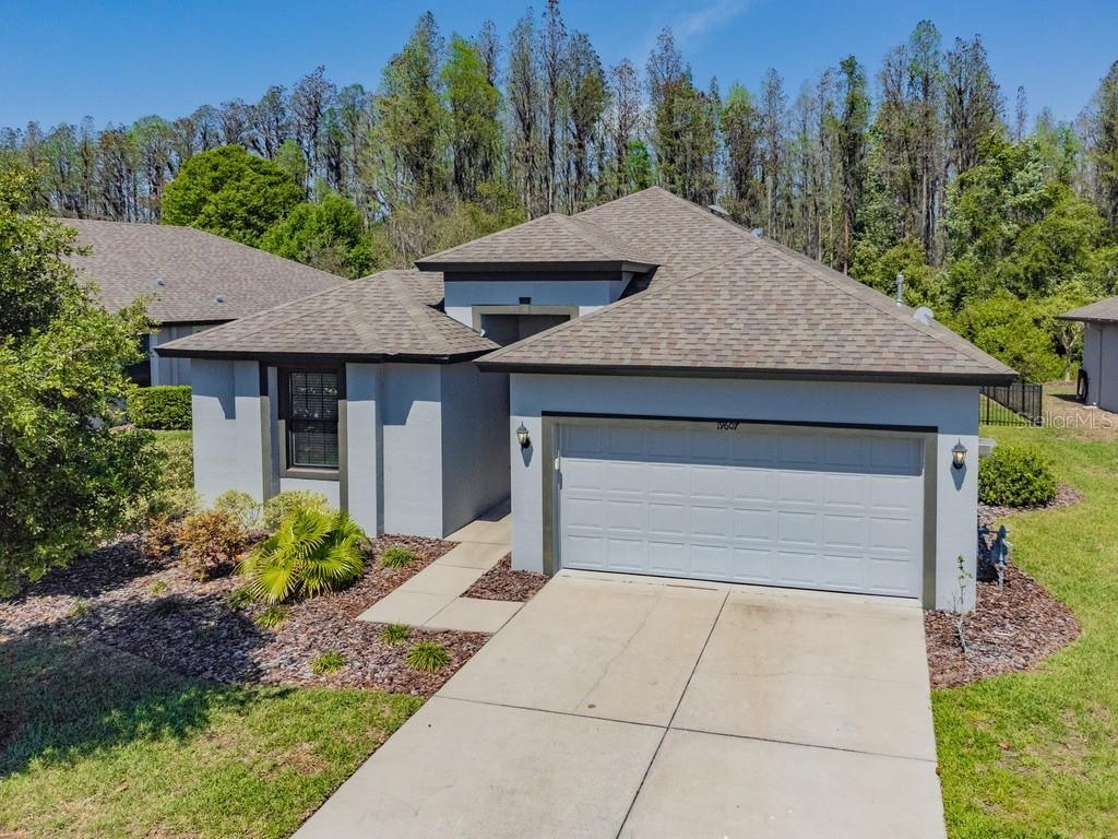 19607 Post Island Loop, Land O Lakes, FL 34638