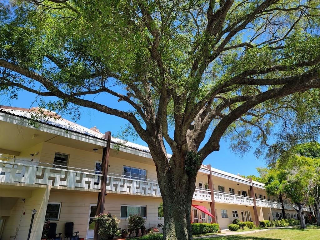 2280 World Parkway Blvd. #20, Clearwater, FL 33763