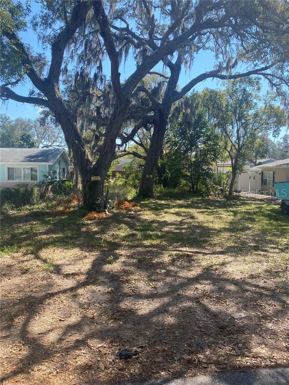 Illinois Ave., Palm Harbor, FL 34683