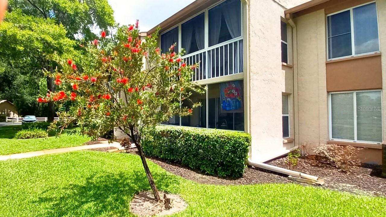12119 Sunny Glen Ln. #G1, Hudson, FL 34669