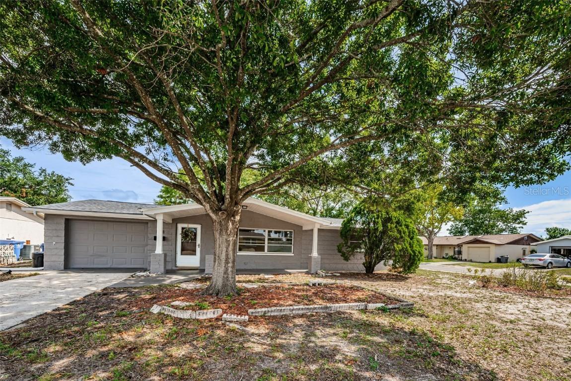 3506 Oxford Dr., Holiday, FL 34691